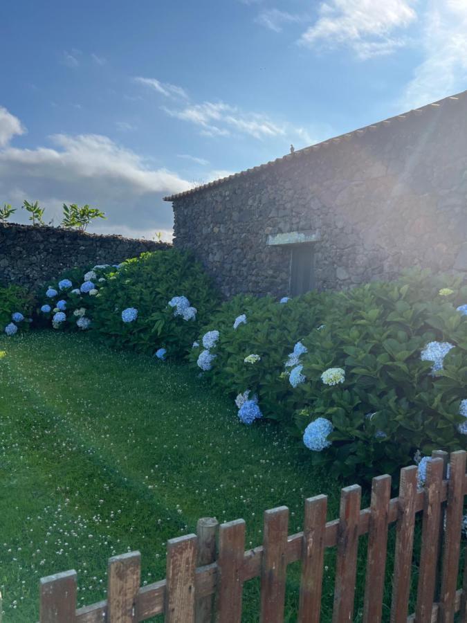 Arrenquinha Guesthouse 2 Ponta Delgada Exteriör bild